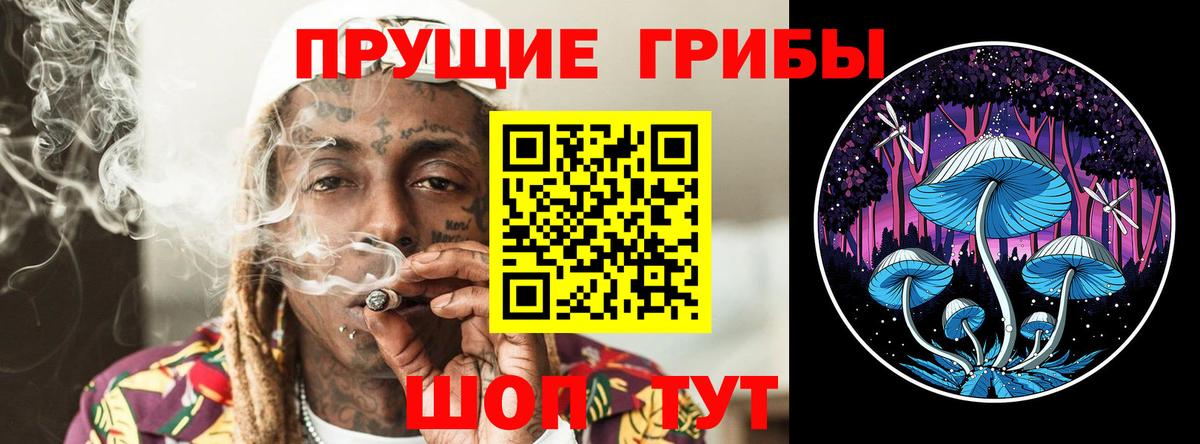 Богородицк  где можно купить   Псилоцибиновые грибы мухоморы  Вход с VPN  Галлюциногенные грибы мицелий 