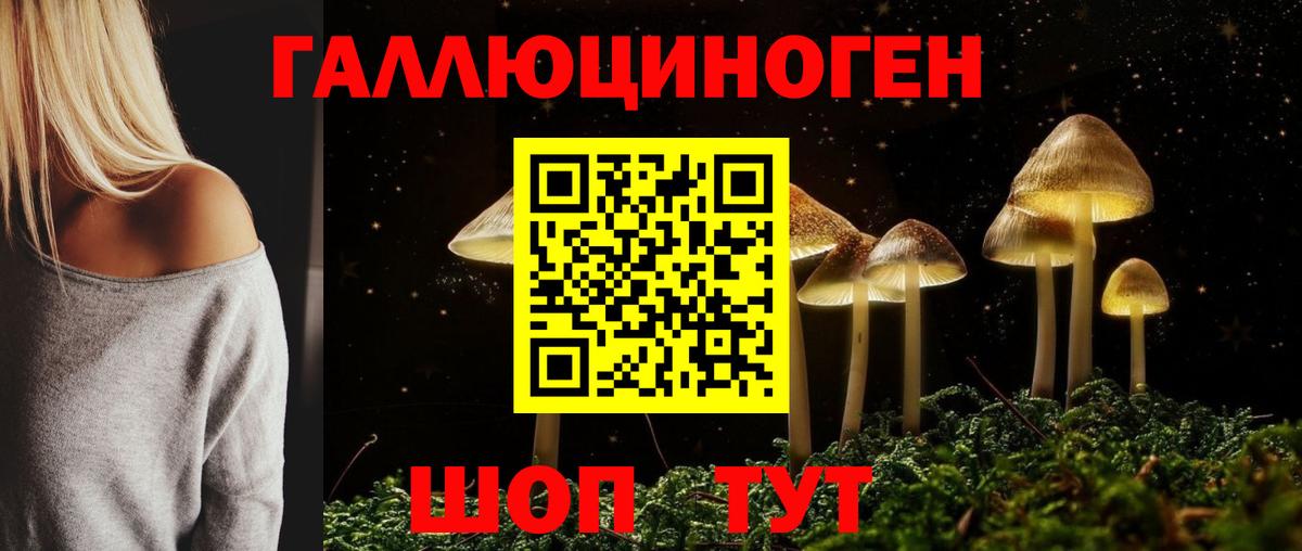 Галлюциногенные грибы Psilocybine cubensis Богородицк
