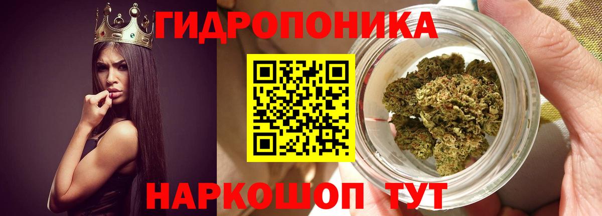 Бошки марихуана семена  Бошки Шишки планчик  Вход с VPN  Богородицк 